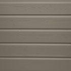 Gris Fossile