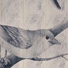 Colibri - Assorti Opaline